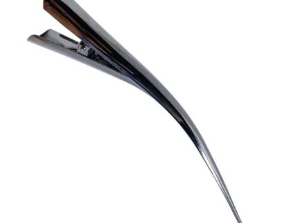 Beak Hair Clip