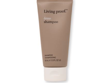 No Frizz Shampoo