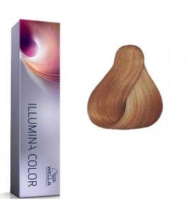 Illumina Color 8/05