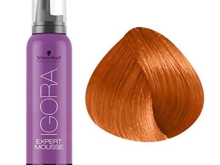 Igora Expert Mousse 8-77 Light Blonde Copper Extra