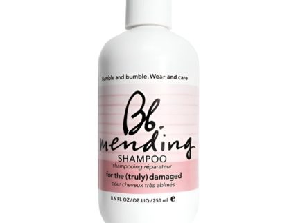 Mending Shampoo (For The Truly Damaged)