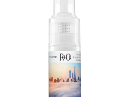 SKYLINE Dry Shampoo Powder 28g / 1oz